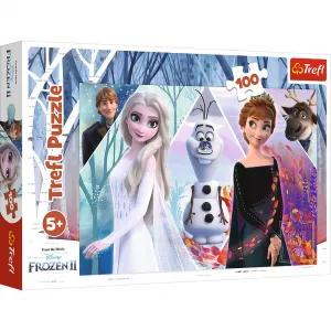 Puzzle Trefl Enchanted Land 100 el. (16418)