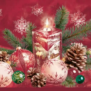 Ubrousky Pol-mak s hvězdičkou - mix 330 mm x 330 mm (Sd GW)