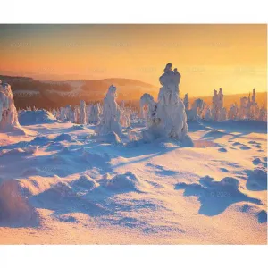 Lucrum nástěnný kalendář PEJZAŻE POLSKIE 13-planszowe 320mm x 470mm (RW01)