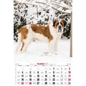 Nástěnný kalendář Avanti s pruhy 285 mm x 410 mm (5901769621107)