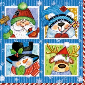 Ubrousky Pol-mak s hvězdičkou - mix 330 mm x 330 mm (Sd GW)