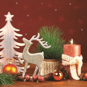 Ubrousky Pol-mak s hvězdičkou - mix 330 mm x 330 mm (Sd GW)