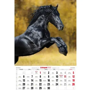 Vícepanelový pruhovaný nástěnný kalendář Avanti 285 mm x 420 mm (5901769620483)