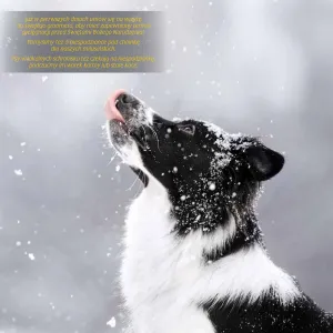 Vícepanelový nástěnný kalendář Avanti 300 mm x 600 mm (KAD-10)