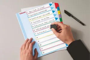 Číselný blok Esselte Mylar maxi A4 mix barev 160g 31k 1-31 (100210)