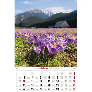 Nástěnný kalendář Avanti s pruhy 285 mm x 420 mm (5901769620827)