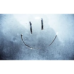 Arpex ARTISTIC SNOW FOR WINDOWS (BA0927)