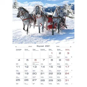 Michalczyk i Prokop nástěnný kalendář 200 mm x 280 mm (TW-10-6)