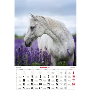 Vícepanelový pruhovaný nástěnný kalendář Avanti 285 mm x 420 mm (5901769620483)