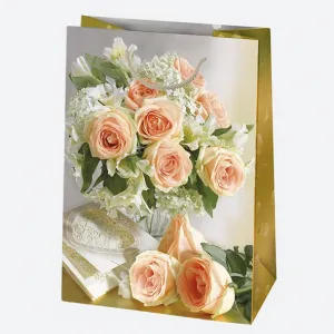 Dárková taška Pol-mak 230 mm x 320 mm x 110 mm (T5)