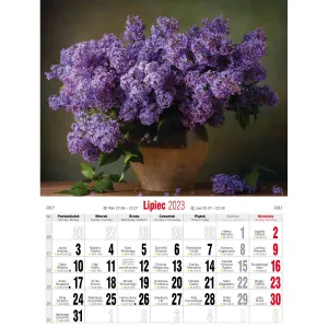 Vícepanelový nástěnný kalendář Avanti 230 mm x 320 mm (5901769620056)