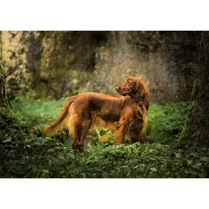 Rodinný nástěnný kalendář Lucrum 280 mm x 200 mm (WL08)