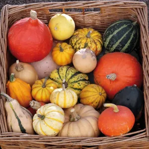 Vícepanelový nástěnný kalendář Avanti 300 mm x 600 mm (5901769620988)