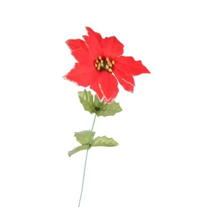 Arpex BETLEJEM STAR (VZ9063)